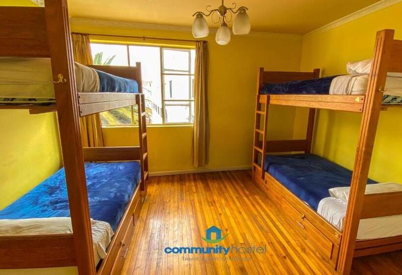 تختخواب در اتاق مشترک, Community Hostel Quito
