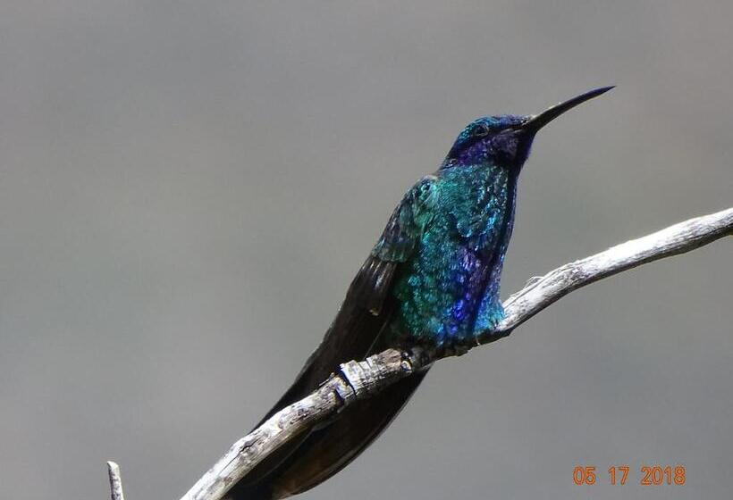 آپارتمان سوپریور 1 خوابه, Departamentos Bellavista La Alborada Huaraz