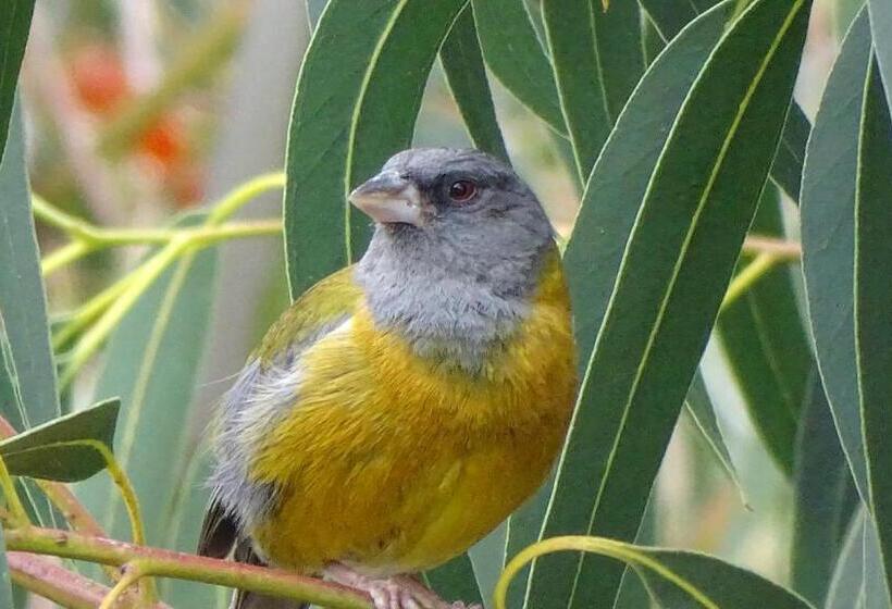 آپارتمان لوکس 1 خوابه, Departamentos Bellavista La Alborada Huaraz