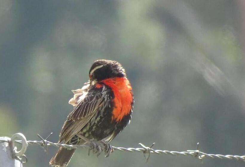 آپارتمان لوکس 1 خوابه, Departamentos Bellavista La Alborada Huaraz