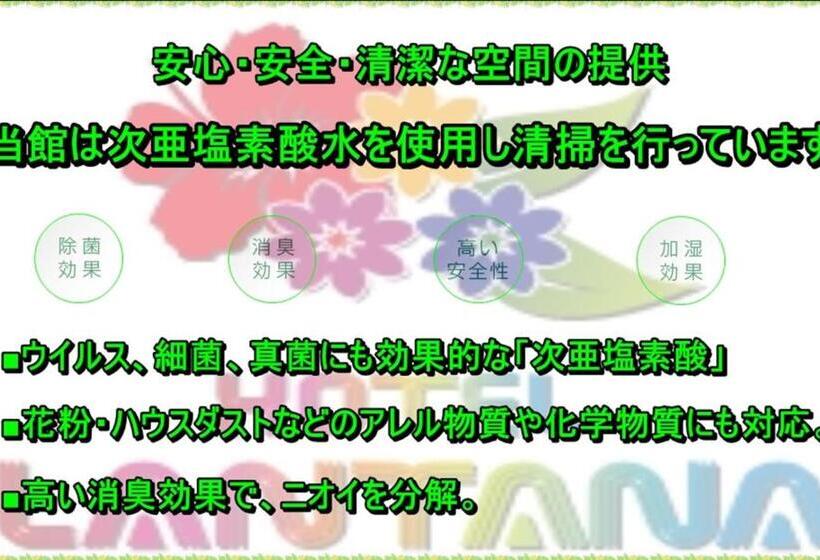 Номер Стандарт Индивидуальный, Lantana Osaka