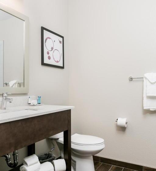 חדר סטנדרט עם מיטת קינג, Siri Downtown  Paso Robles