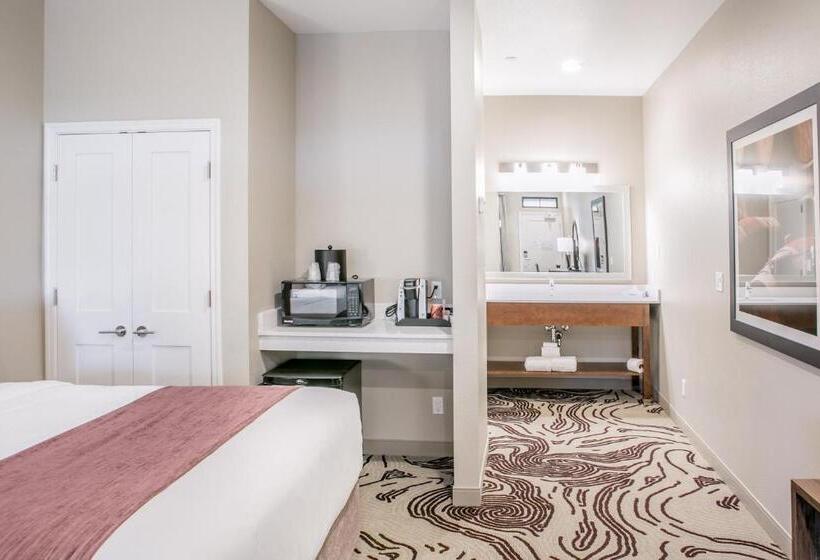 غرفة قياسية سرير كينج لذوى الإحتياجات الخاصة, Siri Downtown  Paso Robles