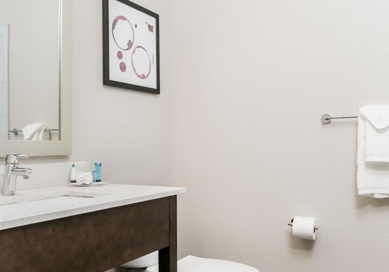 חדר סטנדרט, מיטת קינג, מותאם לאדם עם מוגבלויות, Siri Downtown  Paso Robles