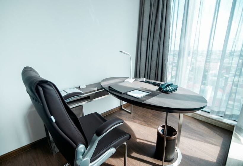 اتاق دلوکس با تخت کینگ و چشمانداز شهر, The Mira Central Park