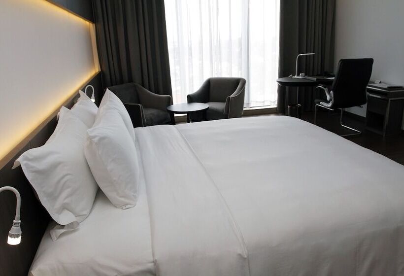 اتاق دلوکس با تخت کینگ و چشمانداز شهر, The Mira Central Park