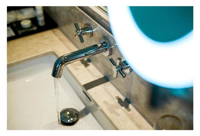 اتاق دلوکس با تخت کینگ و چشمانداز شهر, The Mira Central Park