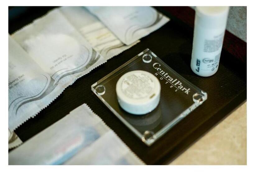 اتاق دلوکس با تخت کینگ و چشمانداز شهر, The Mira Central Park