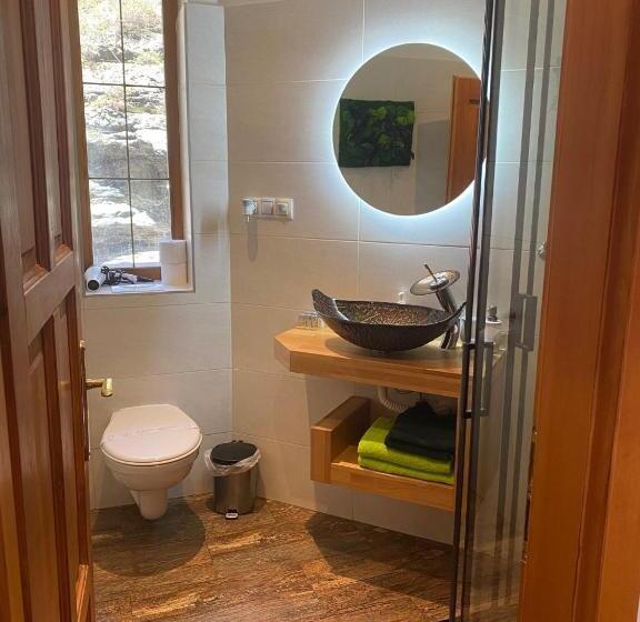 スタンダードトリプルルーム, Stara Plynarna