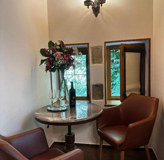 スタンダードルーム, Stara Plynarna