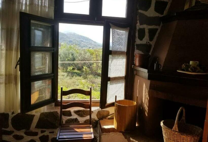 スタンダード４人部屋, Bed & Breakfast Local Living Edi