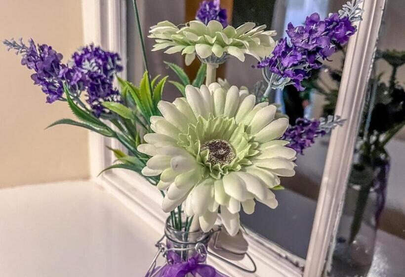 Номер Стандарт Совместная Ванная, Twenty Hotel And Bar