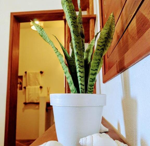 스탠다드 룸, Villa Pinolo By Kabana