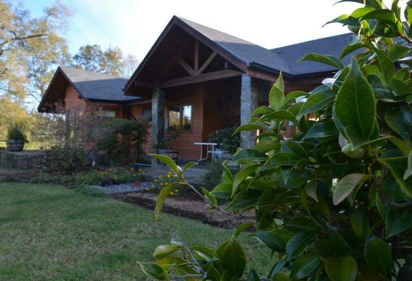 חדר סטנדרט, Outrippers Pucón