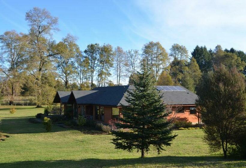 חדר סטנדרט, Outrippers Pucón