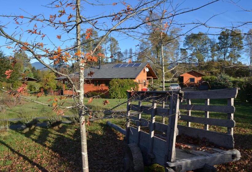 חדר סטנדרט יחיד, Outrippers Pucón