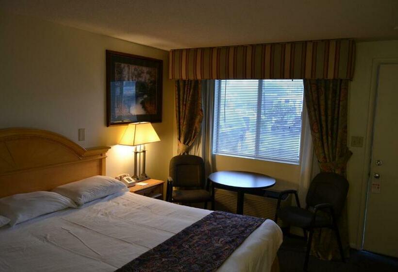 غرفة قياسية سرير كينج, The Ship Motel