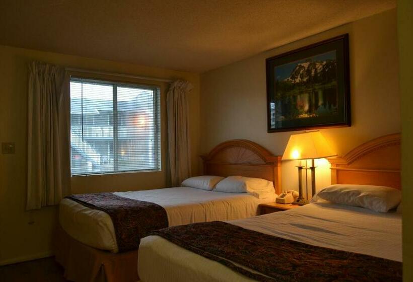 Номер Стандарт, The Ship Motel