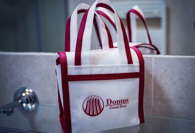 스탠다드 룸 풀장 전망, Domus Grand