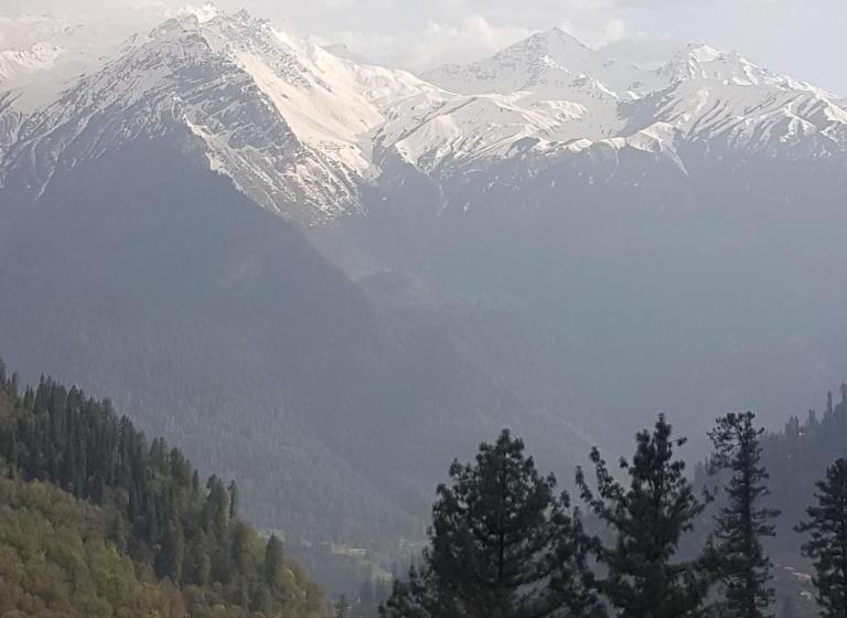 اتاق استاندارد با چشمانداز کوهستان, Snow View Guest House