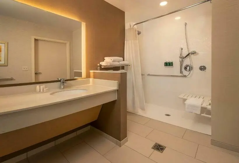 キングサイズベッドのスタンダードルーム, Fairfield Inn & Suites By Marriott Harrisburg International Airport
