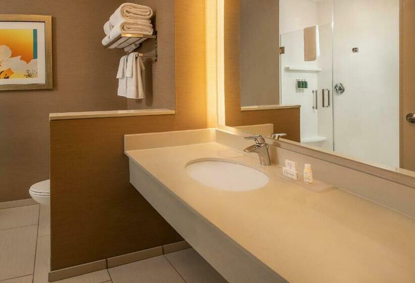 스탠다드 룸, Fairfield Inn & Suites By Marriott Harrisburg International Airport