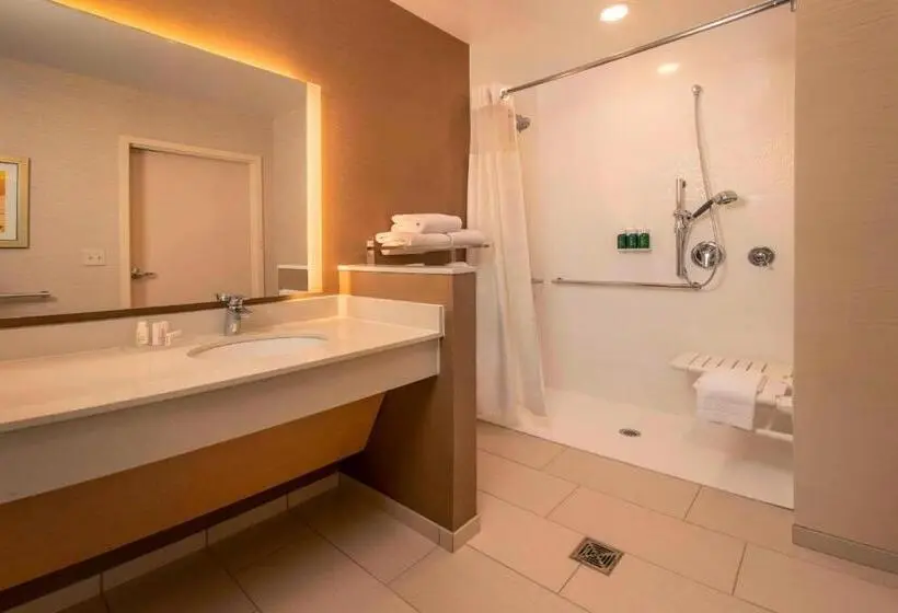 キングサイズベッドのスタンダードルーム, Fairfield Inn & Suites By Marriott Harrisburg International Airport