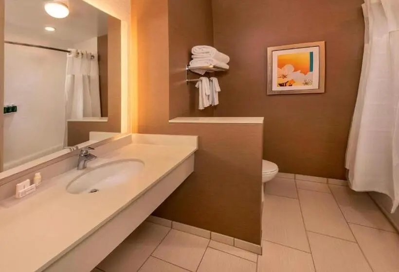 スタンダードルーム, Fairfield Inn & Suites By Marriott Harrisburg International Airport