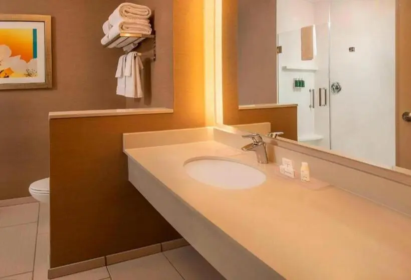 身障者適用キングサイズベッドルーム, Fairfield Inn & Suites By Marriott Harrisburg International Airport
