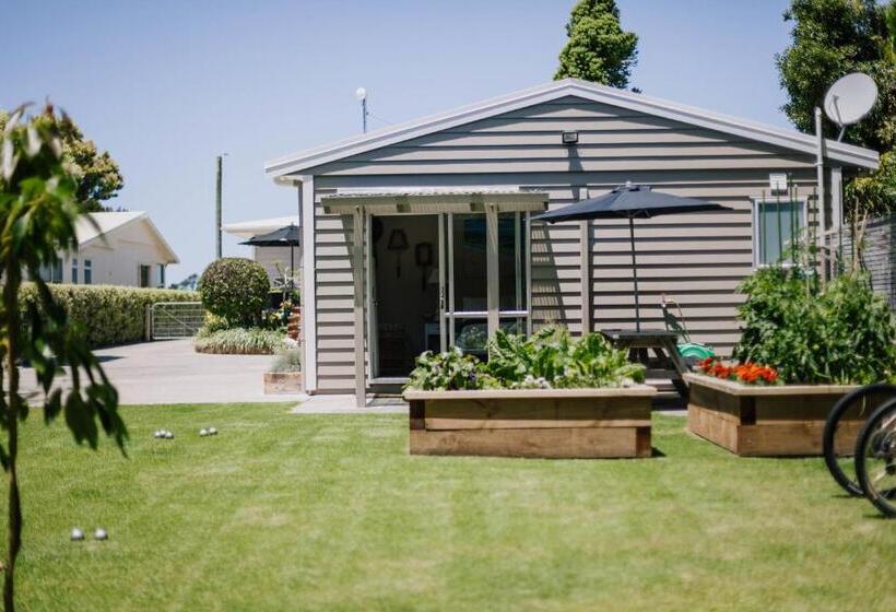 标准房带园景, Studio On Petley