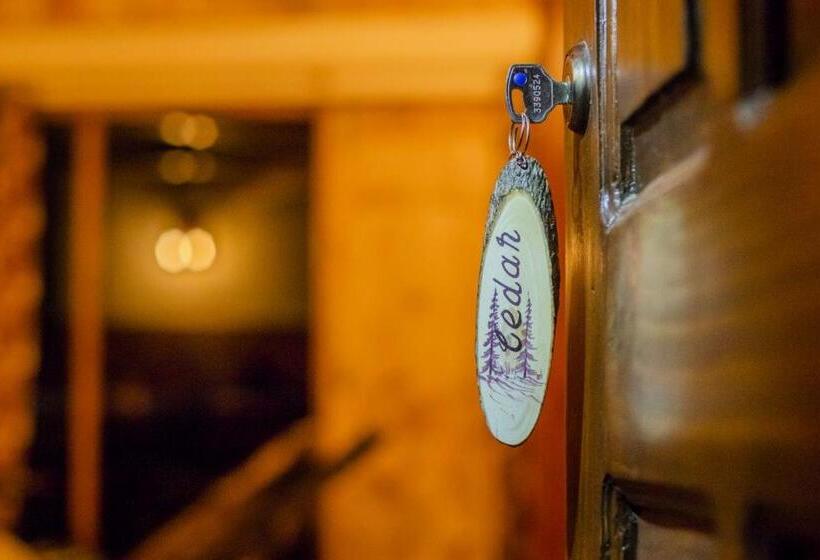 山の見えるジュニアスイート, Aaramgah