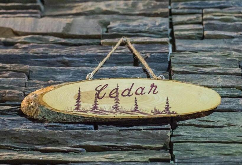 山の見えるジュニアスイート, Aaramgah