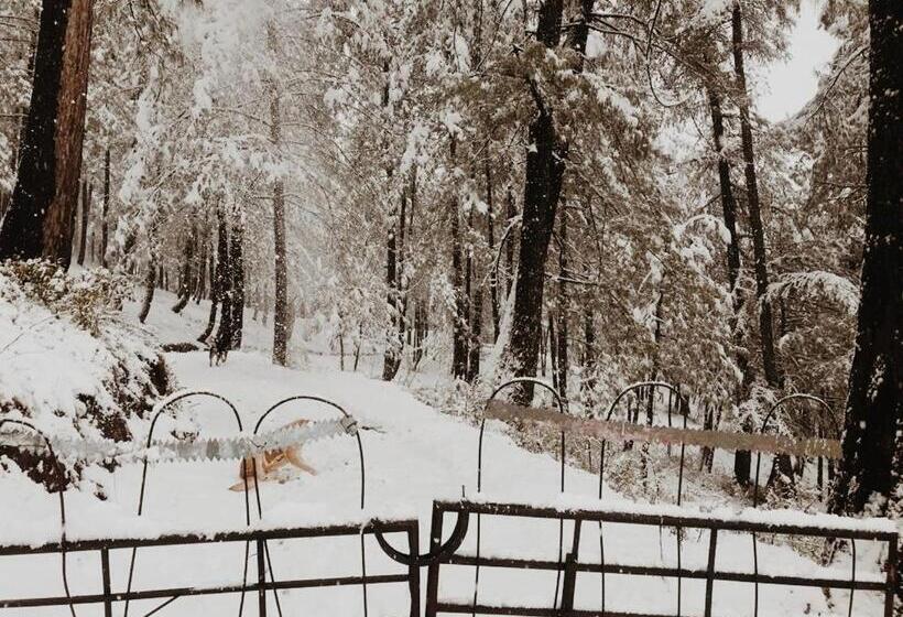 キングサイズベッドのスタンダードルーム, Aaramgah