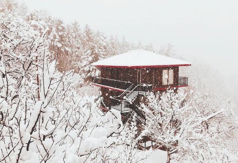 キングサイズベッドのスタンダードルーム, Aaramgah