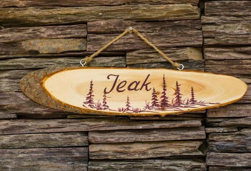 マウンテンビュースタンダードルーム, Aaramgah