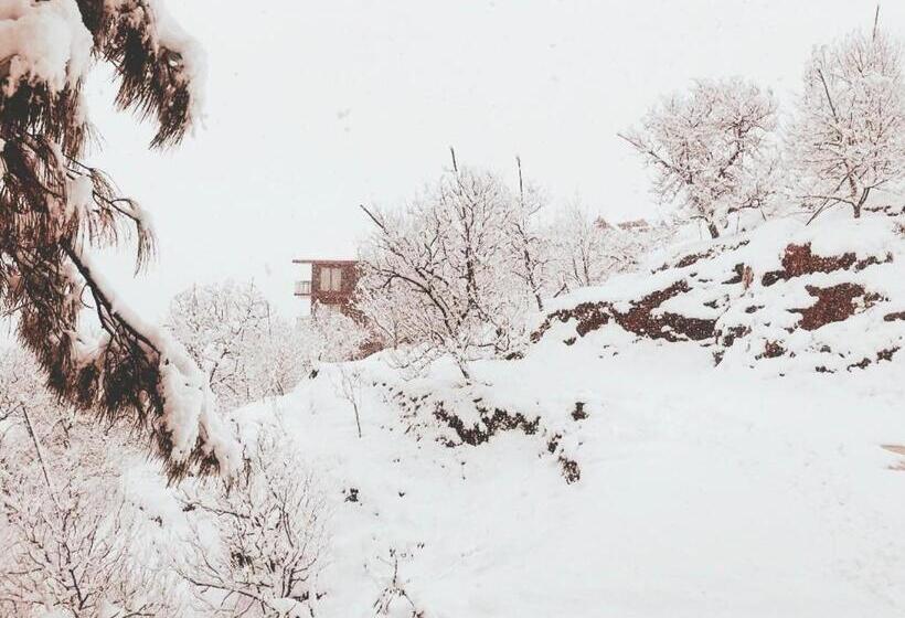 マウンテンビュースタンダードルーム, Aaramgah