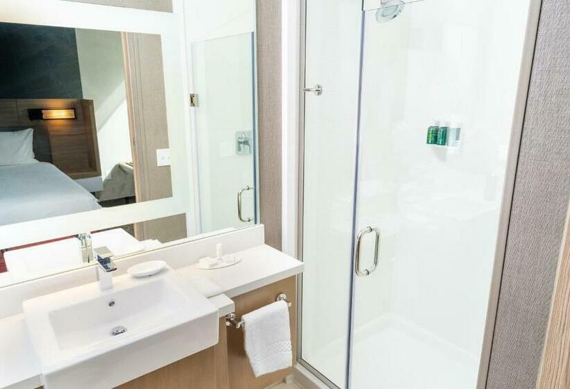 جناح سرير كينج, Springhill Suites By Marriott Ontario Airport/rancho Cucamonga