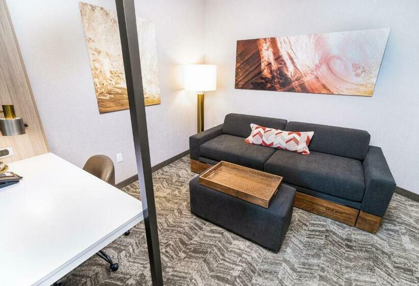 جناح, Springhill Suites By Marriott Ontario Airport/rancho Cucamonga