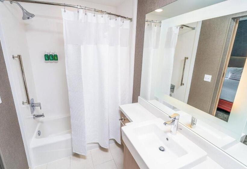 جناح سرير كينج, Springhill Suites By Marriott Ontario Airport/rancho Cucamonga