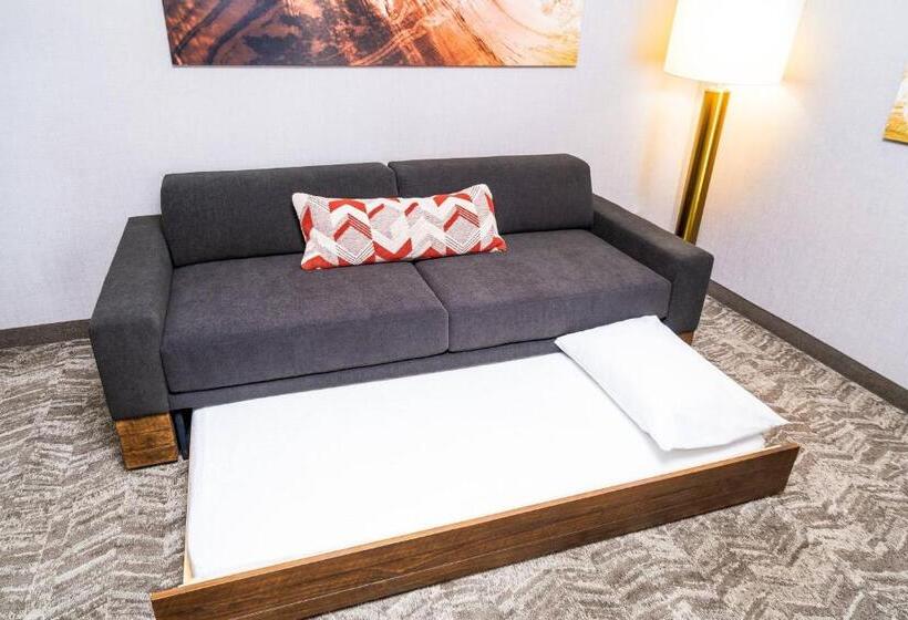 스위트 킹사이즈 침대, Springhill Suites By Marriott Ontario Airport/rancho Cucamonga