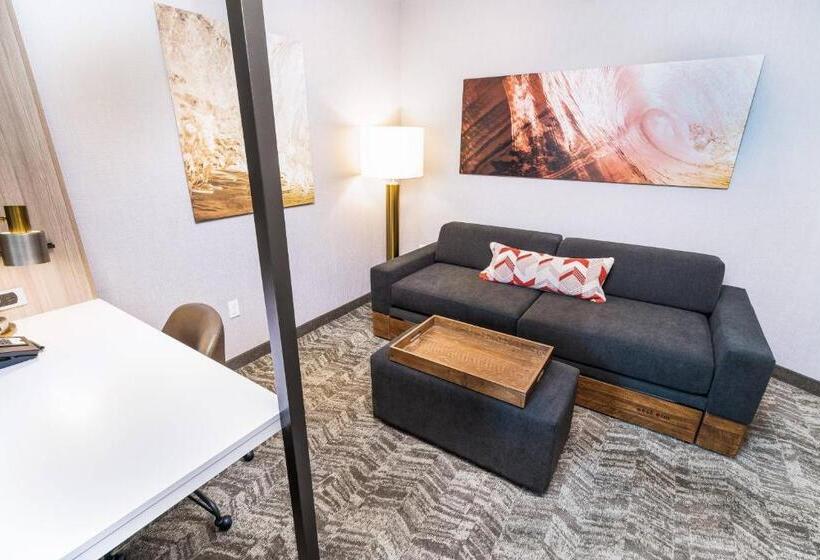 جناح سرير كينج, Springhill Suites By Marriott Ontario Airport/rancho Cucamonga