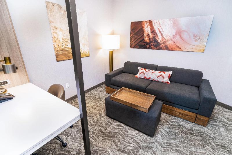 스위트 킹사이즈 침대, Springhill Suites By Marriott Ontario Airport/rancho Cucamonga