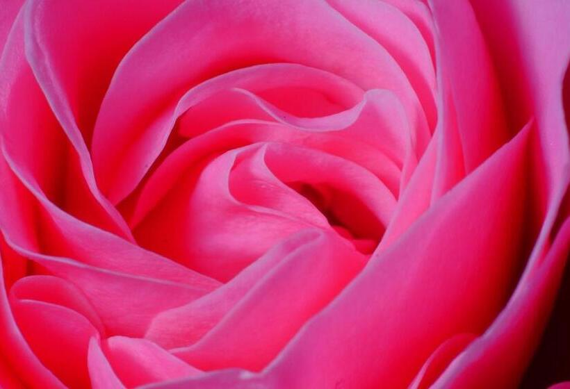 Standard room with outdoor bath, Le Cottage Bnb Chambres Dhotes Paris Saclay