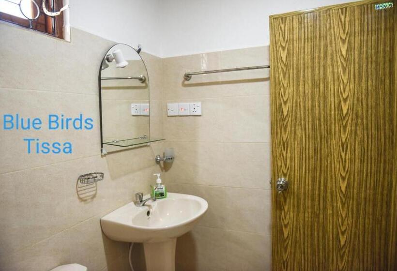 수피리어 룸, Blue Birds Tissa & Yala Safari