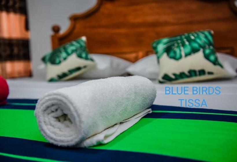 수피리어 룸, Blue Birds Tissa & Yala Safari