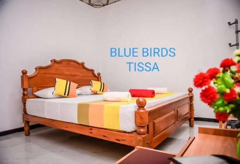 Standard-huone Puutarhanäkymä, Blue Birds Tissa & Yala Safari