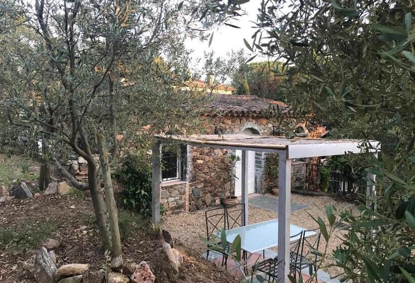 غرفة قياسية مطلّة علي الحديقة, La Maison Des Oliviers