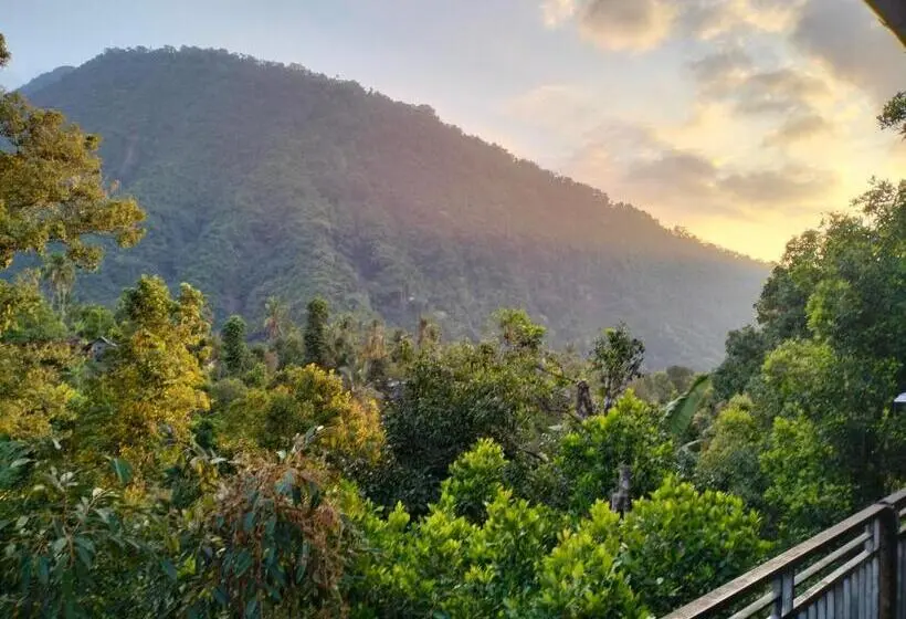 スタンダードルーム, Sugi Gede Homestay