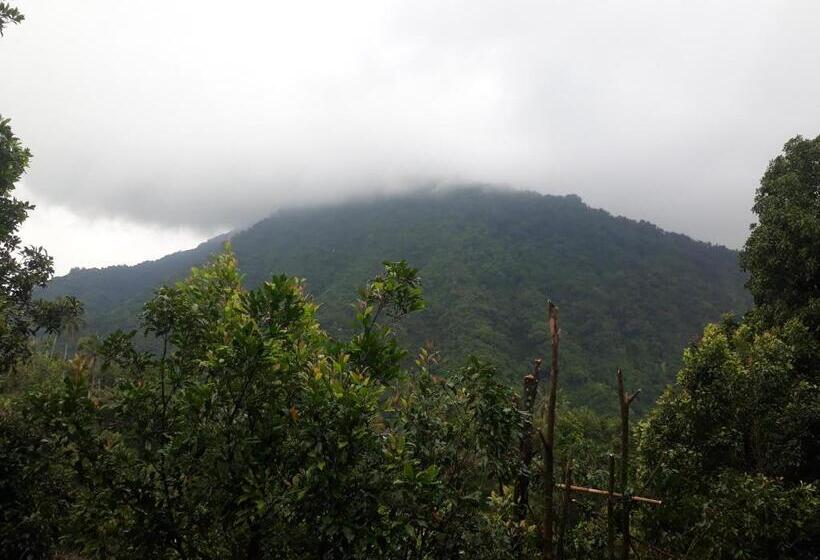 חדר סטנדרט עם טרסה, Sugi Gede Homestay