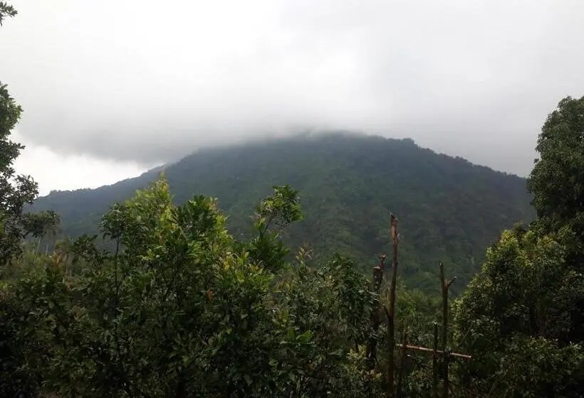 テラス付きスタンダードルーム, Sugi Gede Homestay